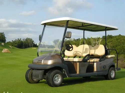 高爾夫球車電池維護保養六要素